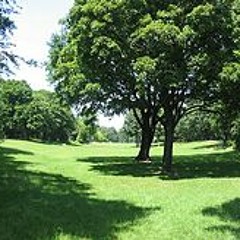 user3221860