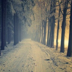 Ǟlaa Řagab ElGaɱɱal