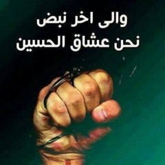 mohsain
