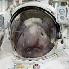 blobnose