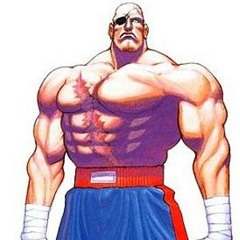 Sagat Is Back