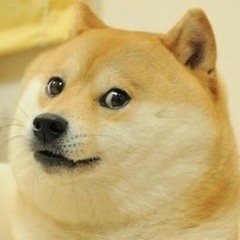 sdvsfpsg