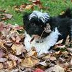 Nikki Kneebone Coughlan