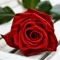 daisymaxx9420