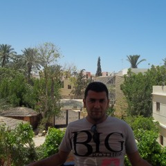 Mohammed Shehata Atya