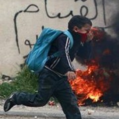 mohamed elsoury