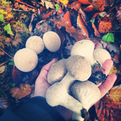 Anthony Thonus Robinson