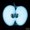 darkside232