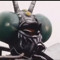 He-Mantis