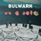 Bulwark