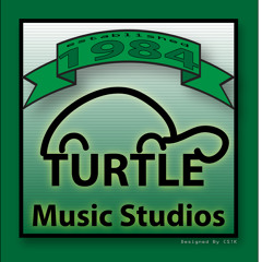 turtle1984