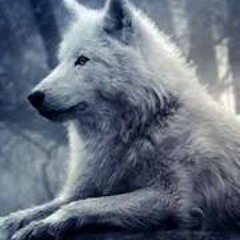 Latrell Washington 1