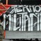 tinotitoo