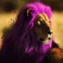 D'Ana Makinmoves Preston