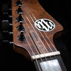 Marshwood Guitars