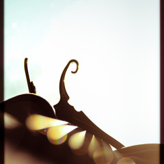 Lumberjack Zach & The Woodland Creatures