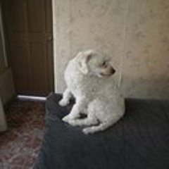 Kevin Fabian Villagran