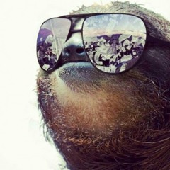 Chilled Sloth