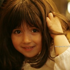 user291269513