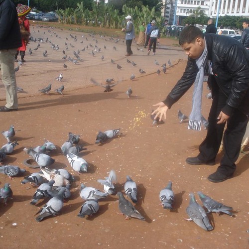.المنشد المتوحد عبد الرحمن .. يحكي قصته بنشيد أماه ..للشاعر فرج أبو الجود