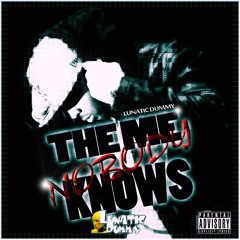 Lunatic Dummy Crash Test