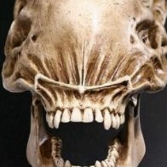 Lean Jordan Elemento