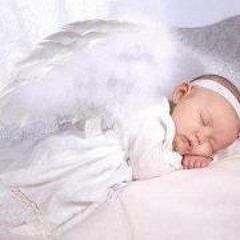 Louloubidou Vermande