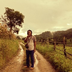 Noom Viewpoint