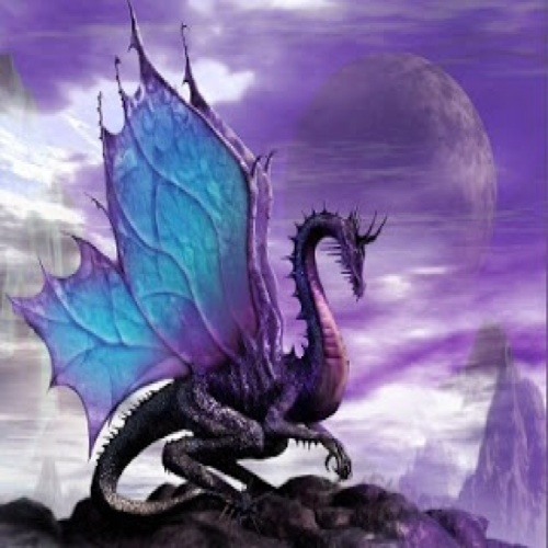 Radioactive Dragons’s avatar