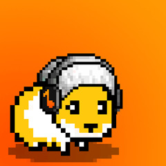 hamster