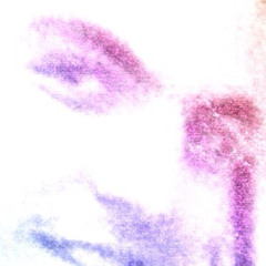 Mohammed.nilo