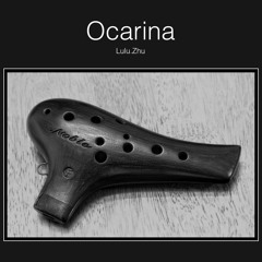 Swallow - Chinese Folk Song