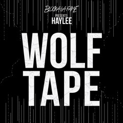 Tino El Pingüino - DiMarco Resorts - 02 Pintando Elefantes