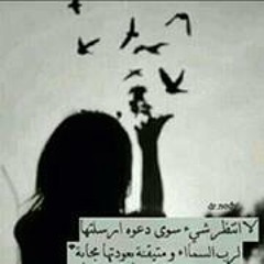 Zainab Ahmed Al-Shaikh