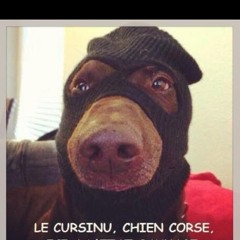 Los Poitiers