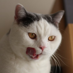 Listen to ぼくらが旅に出る理由 by EMOTO YUSUKE in 江本祐介