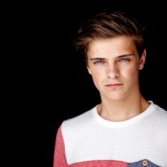 Martin Garrix*