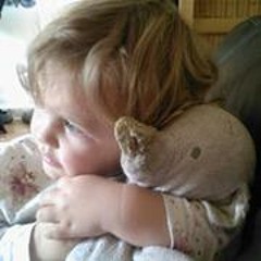 Robert Fcum Schofield