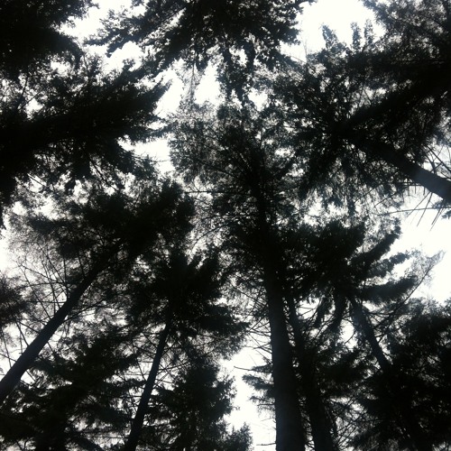 Time Sink (version) [unmastered]