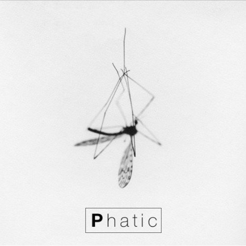 Phatic [Official]’s avatar