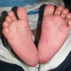 Melissa Diann Greene