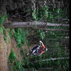 Daniel Steinlechner 2