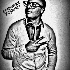 Schwarz 'Flybird' Music