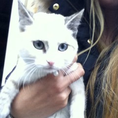 daisyderuiter