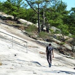 Antonio Dalante Palmer