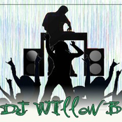 DJ Willow B