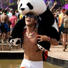 Chicago Panda