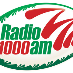RadioMil Viajes