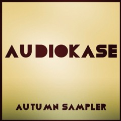 AUDIOKASE