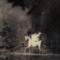 Stellar Unicorn
